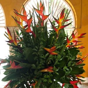 Meet your Posher, Lydia